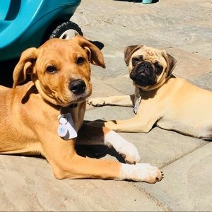 Meet your Posher, Christina